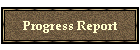 Progress Report